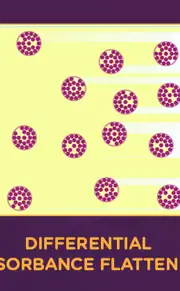 PP229 DAF Graphic 520 X 420